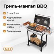Мангал Hanhi BBQ 3830